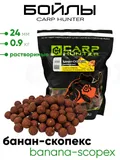 Бойлы Carp Hunter растворимые 24мм 0,9кг