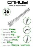Спица 250мм 14g (3100250)