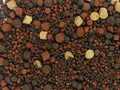 Пеллетс Prikormi23 прикормочный 4-12мм 0.8кг
