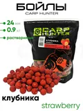 Бойлы Carp Hunter растворимые 24мм 0,9кг
