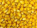 Кукуруза Prikormi23 вареная  в вакууме 1,0кг