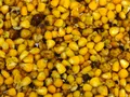 Зерновой MIX Prikormi23 вареный, в вакууме 1,0кг