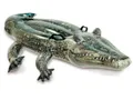 57551 Аллигатор