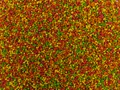 Пеллетс + ликвид Prikormi23 Method Mix 2мм 450гр