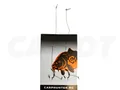Поводок Carp Hunter Premium Krank 17см