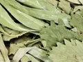 Веник дубовый "Экстра" с эвкалиптом в упаковке