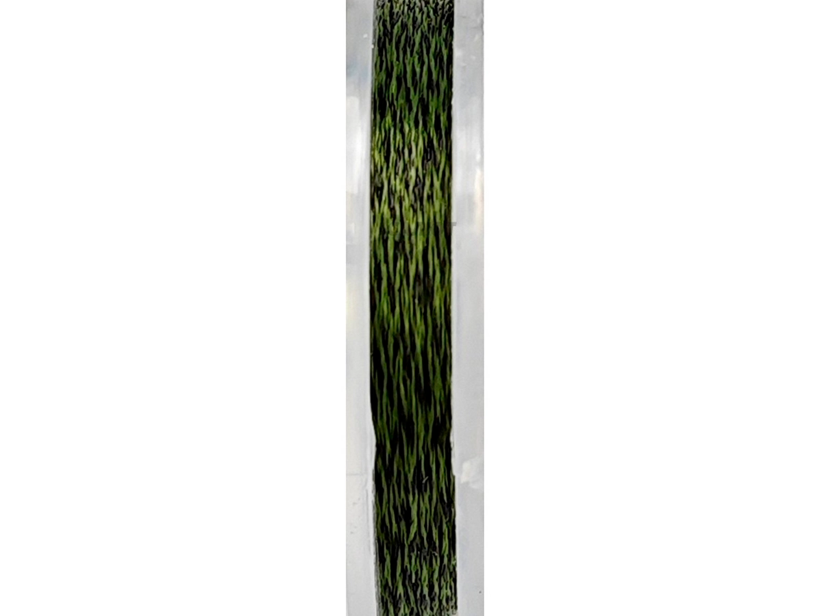 Поводковый материал Carp Hunter green camo