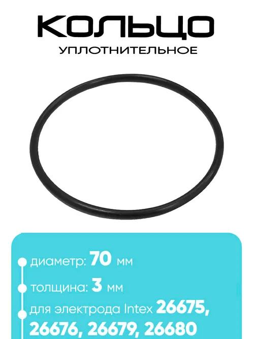 12871 Уплотнительное кольцо электрода