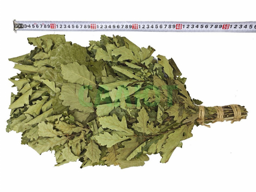 Веник "Экстра" кавказский дуб в упаковке