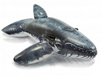 57530 Серый кит