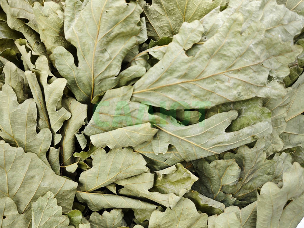 Веник "Экстра" кавказский дуб + экстракт