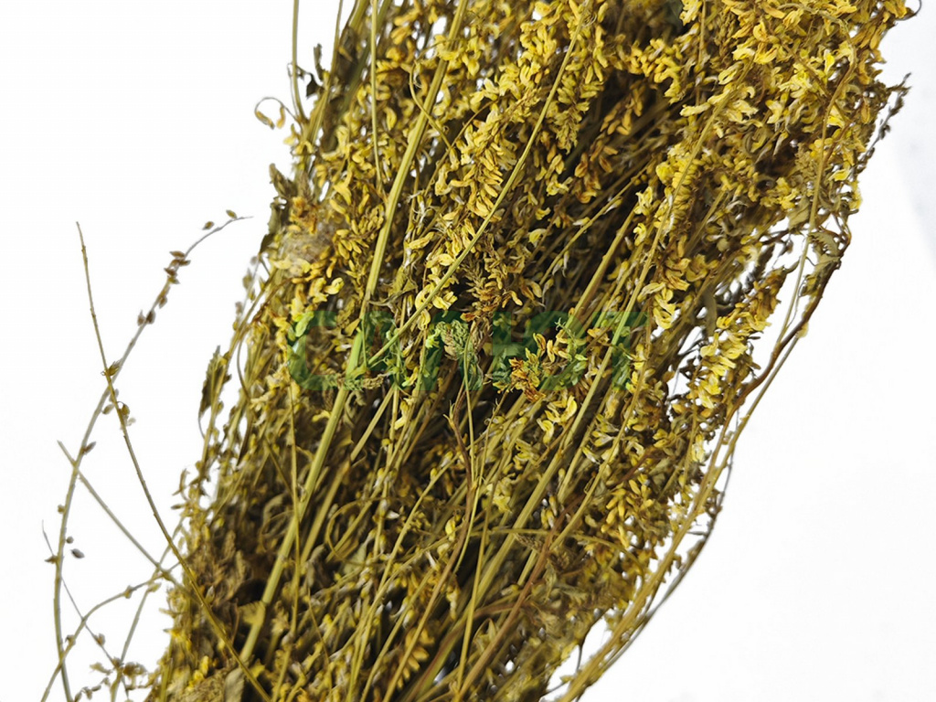 Запарник-трава донник в упаковке