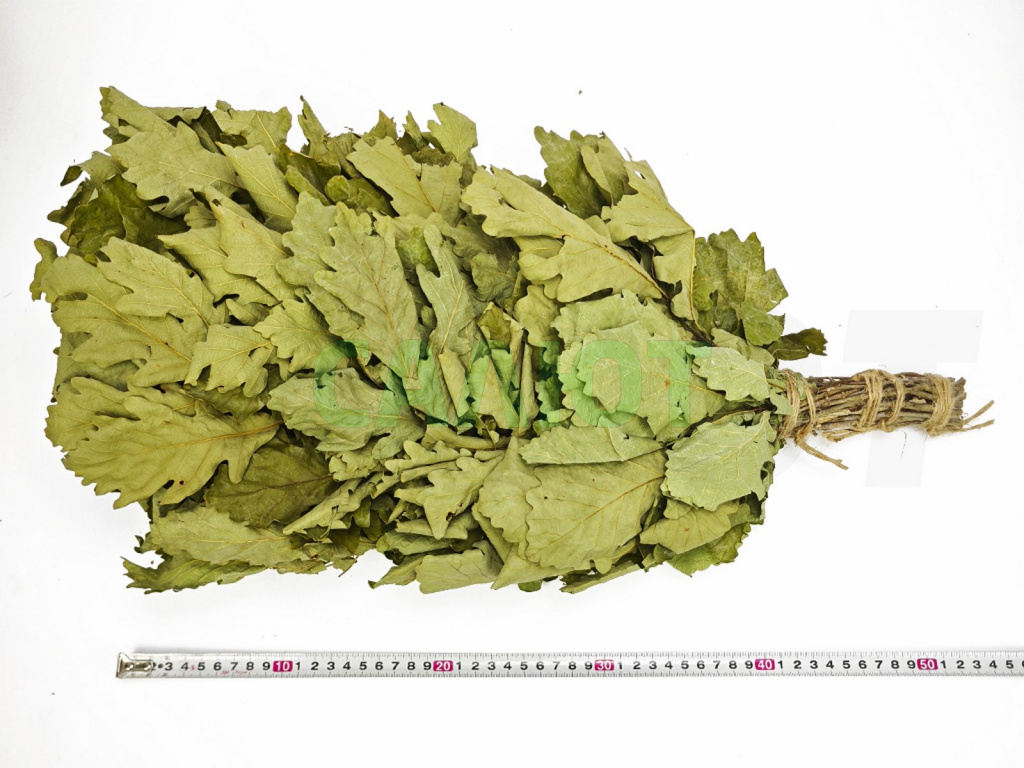 Веник "Экстра" кавказский дуб + экстракт