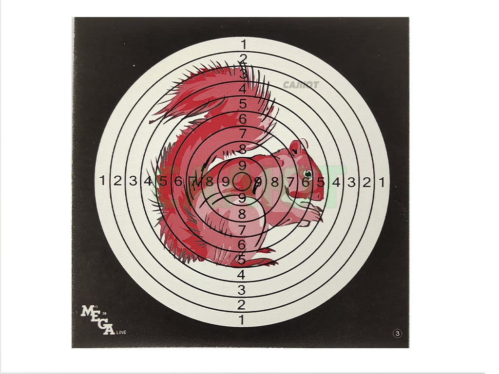 Набор мишеней 13,5х13,5см (40шт)